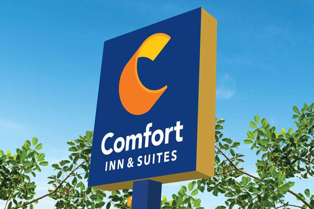 Comfort Inn & Suites Houma Exterior foto